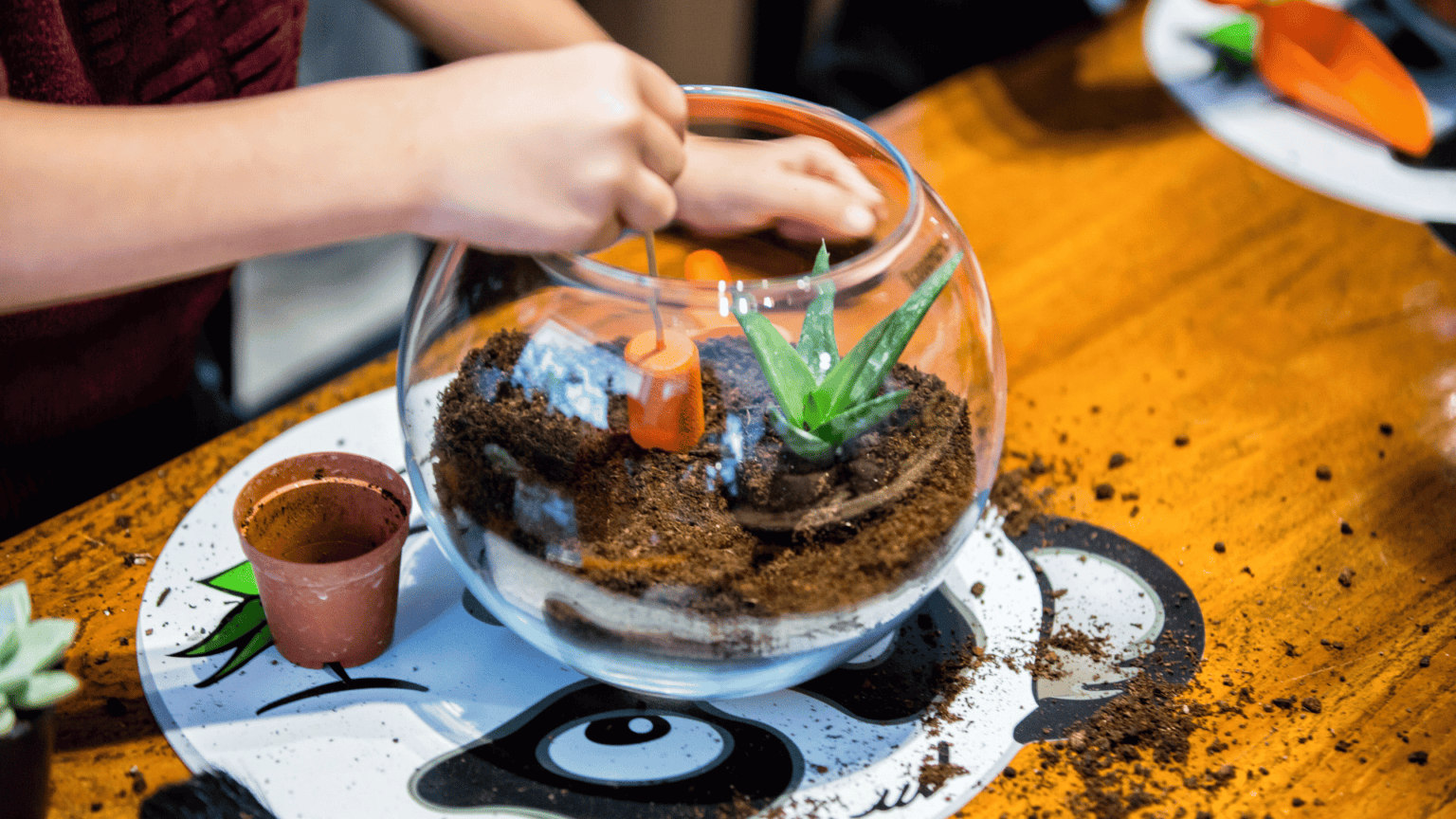 Como fazer um terrário? Aprenda as principais dicas!
